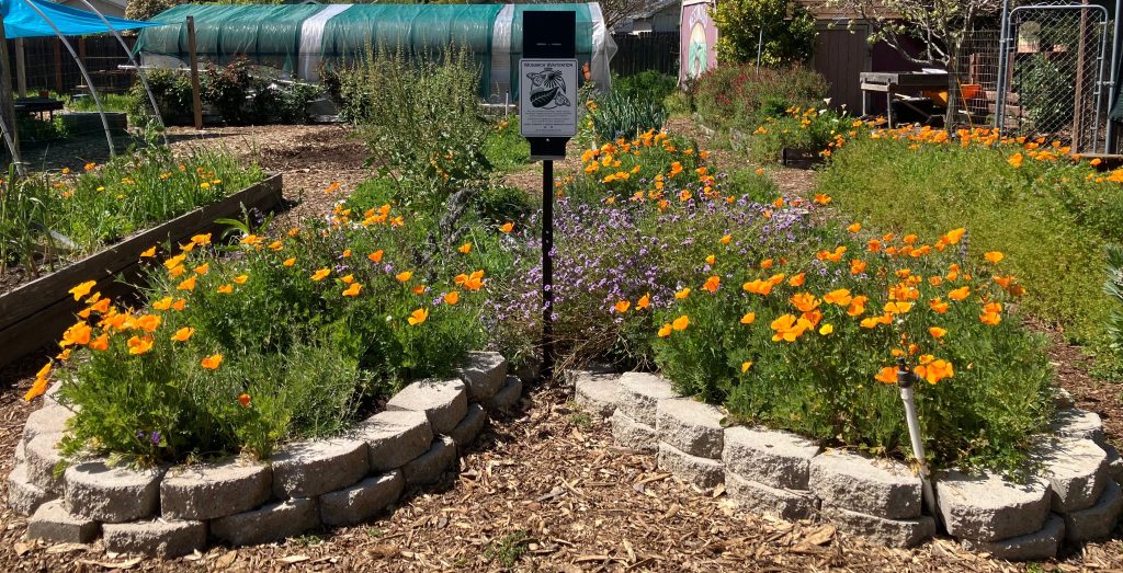 Dedicating Our First Monarch Waystation