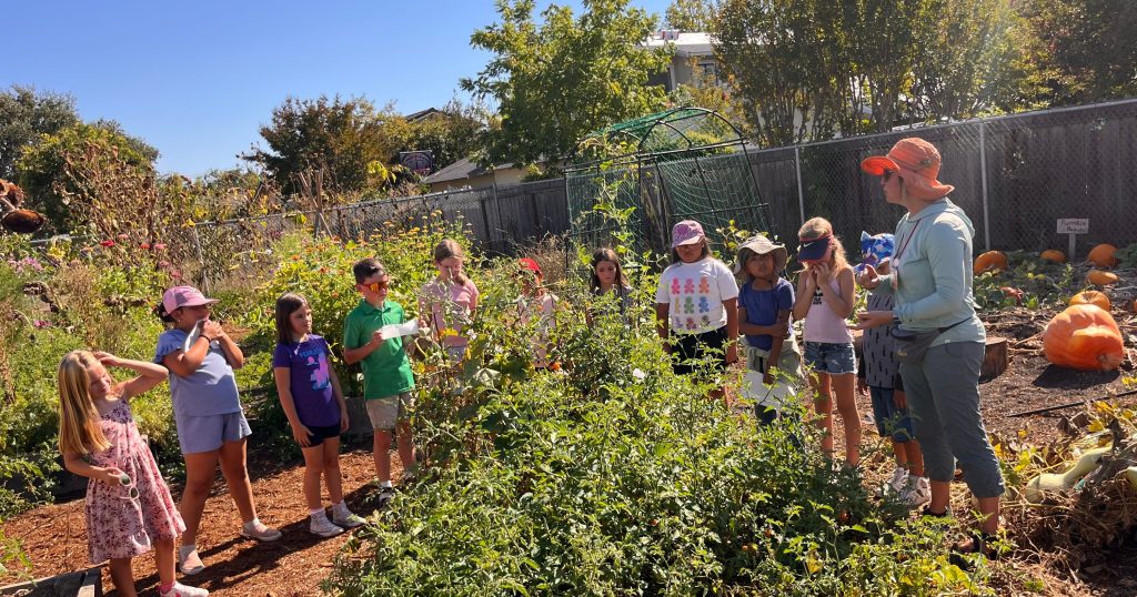 Three Reasons to Give