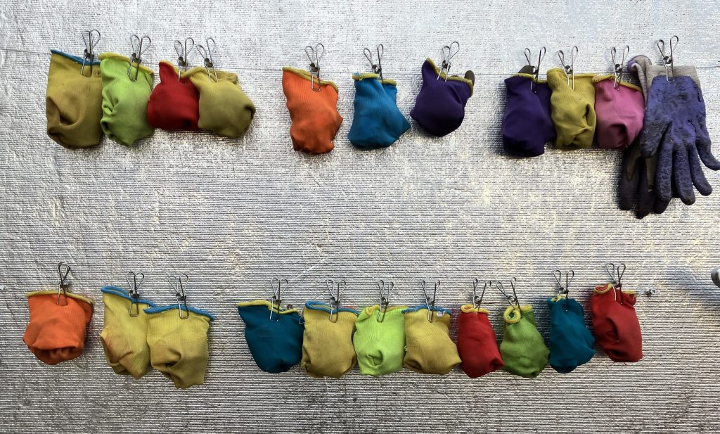 Help Us Grow the Next Generation—One School Garden at a Time