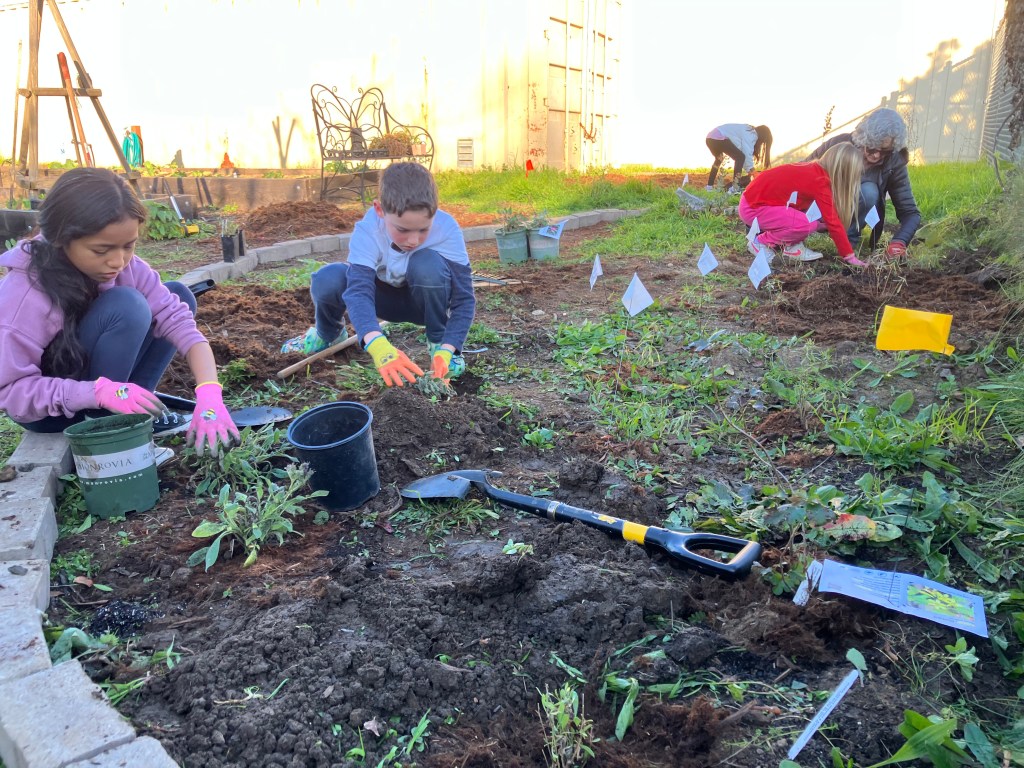 2025 Year in Review: Growing Hope and Cultivating Community