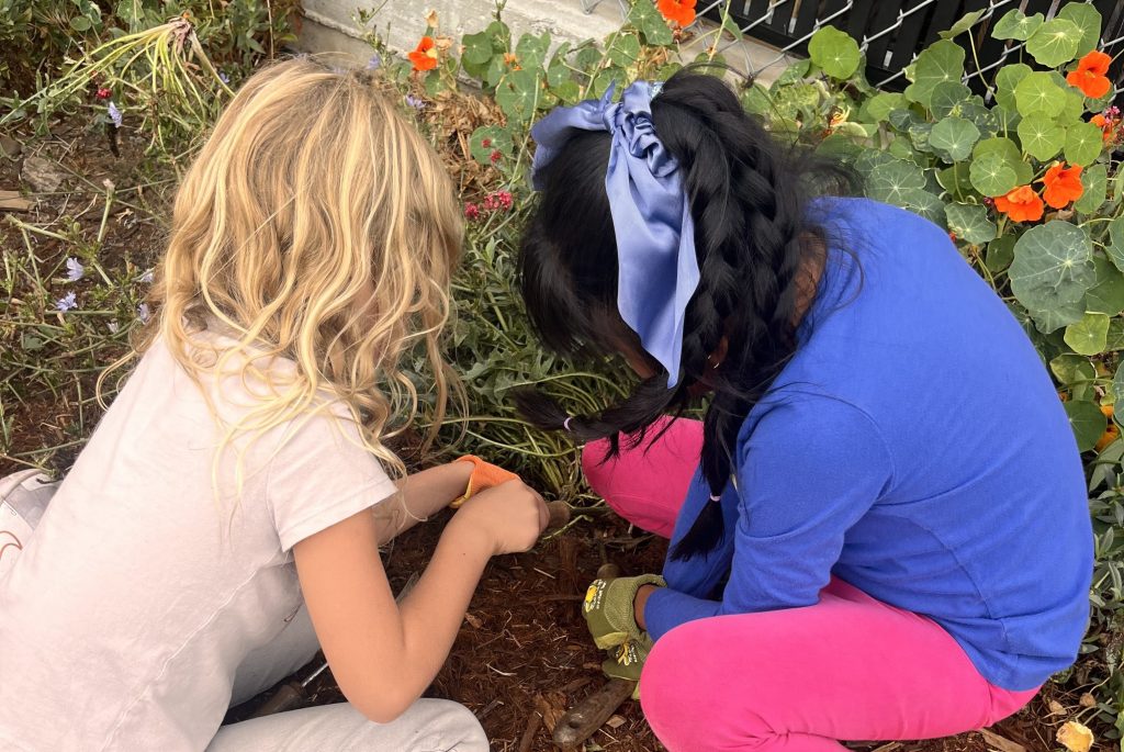 Dirt Girls Fall Season Highlights