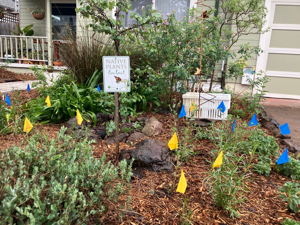 April is National Gardening Month!